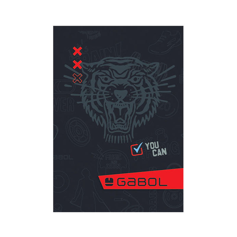 Тетрадка Gabol А4, 40 л., офсет